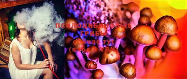 молекула духа Абдулино