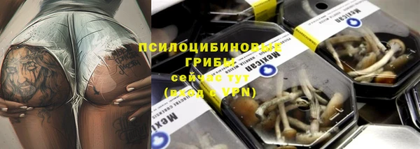 молекула духа Алзамай